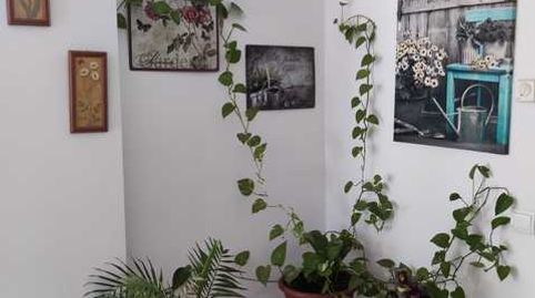 Photo 5 of Flat for sale in Navata, Girona