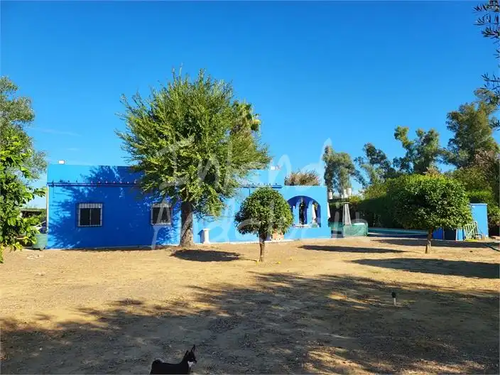 Maison avec piscine à vendre à Marchena, imagen 3