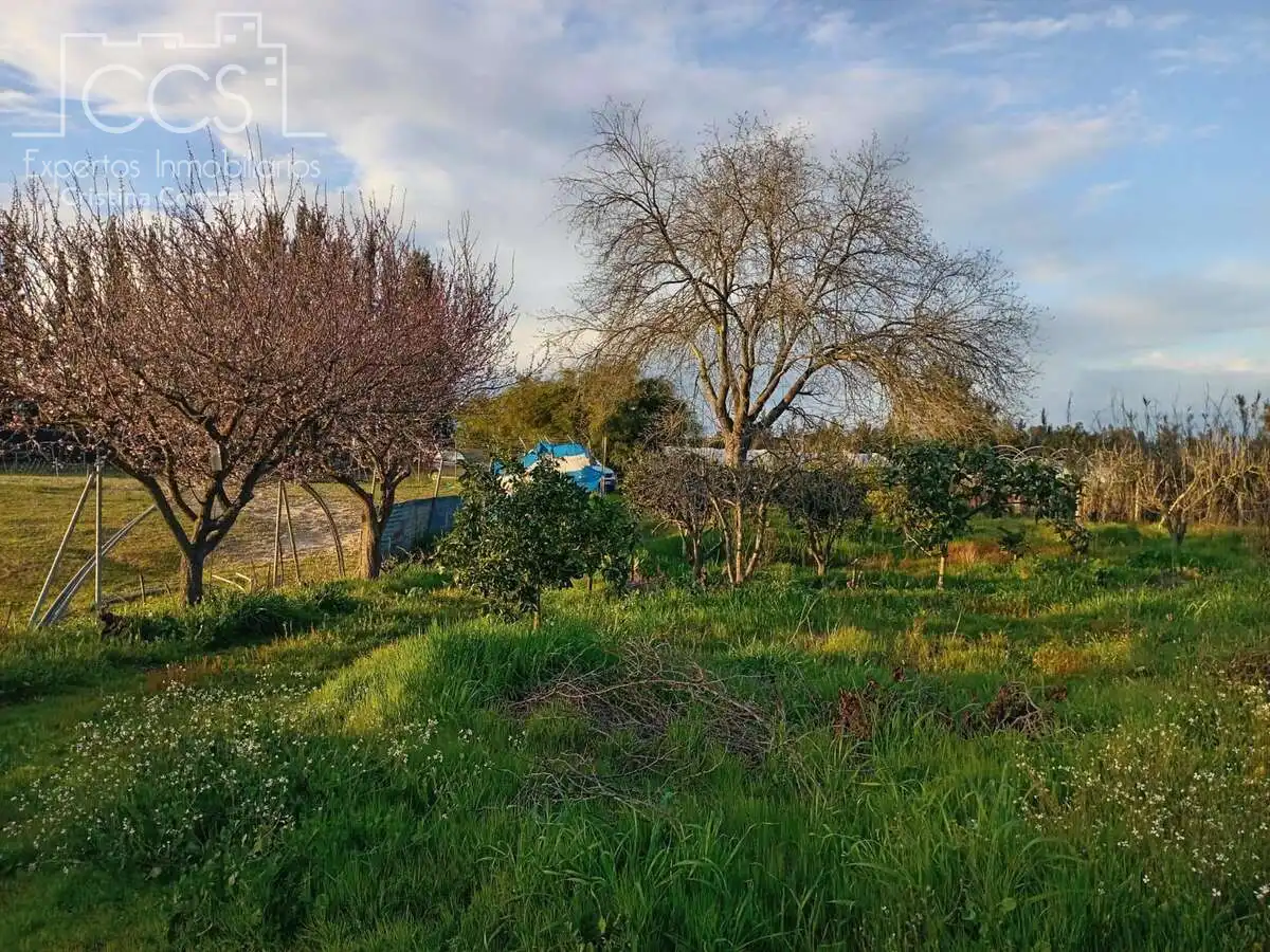 Finca rústica en venda en Almonte