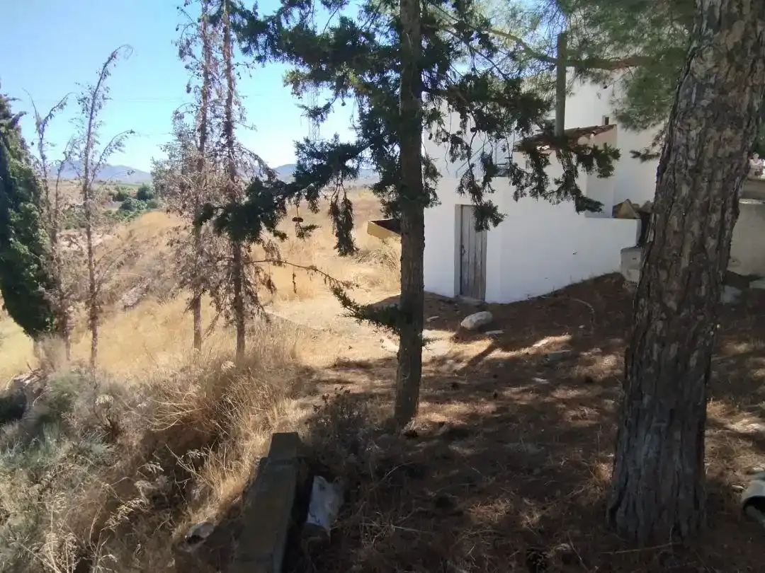 Finca rústica en venta en Ulea con Trastero y Amueblado