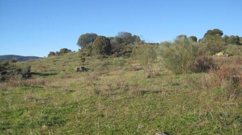 Finca rústica en Cenicientos, immagine 2