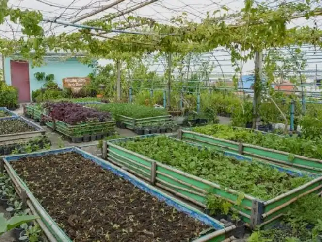 Garten von Grundstücke zur Miete in Tarragona