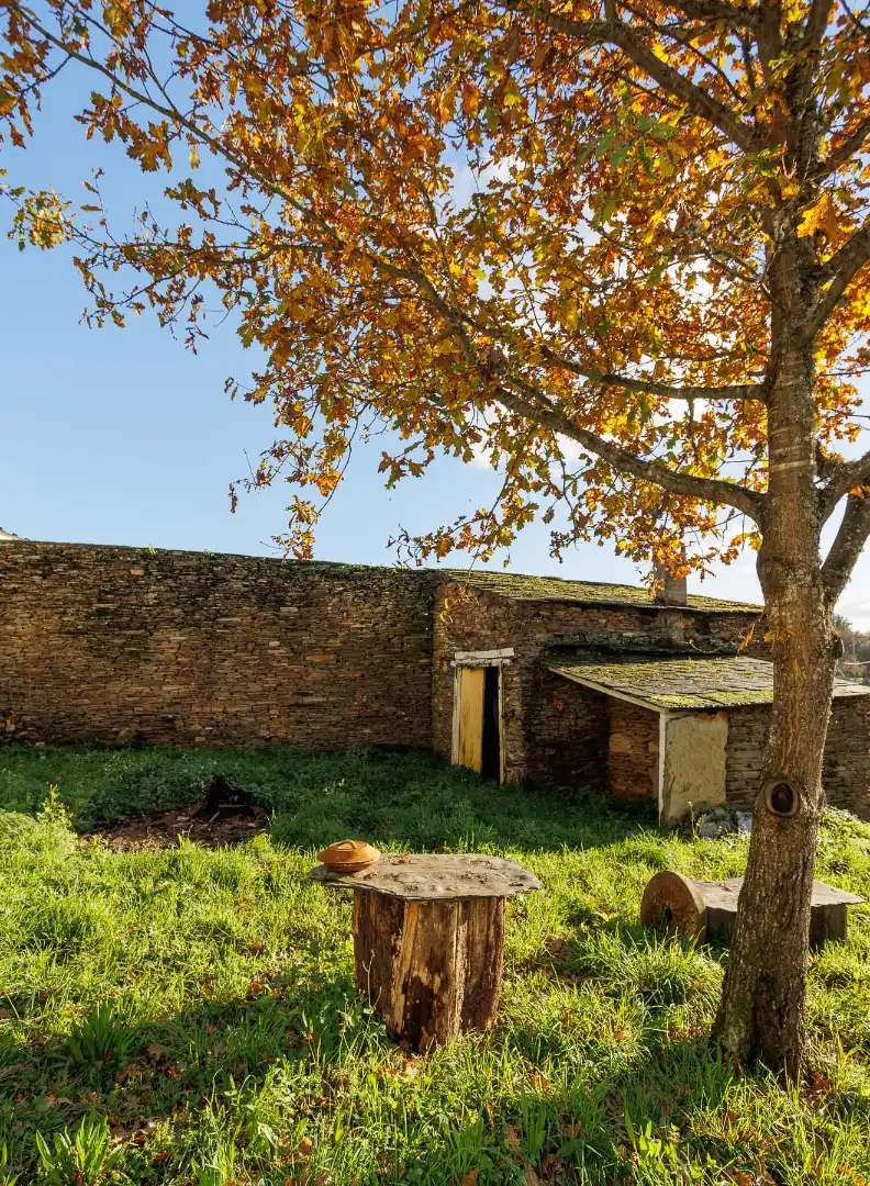 Vista exterior de Casa o chalet en venta en Lugo con Jardín privado, Terraza y Amueblado