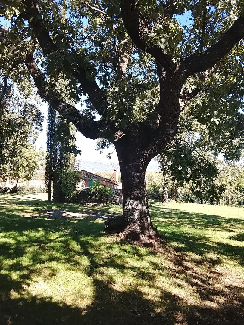 Haus mit Garten zum Verkauf in Madrigal de la Vera, imagen 141