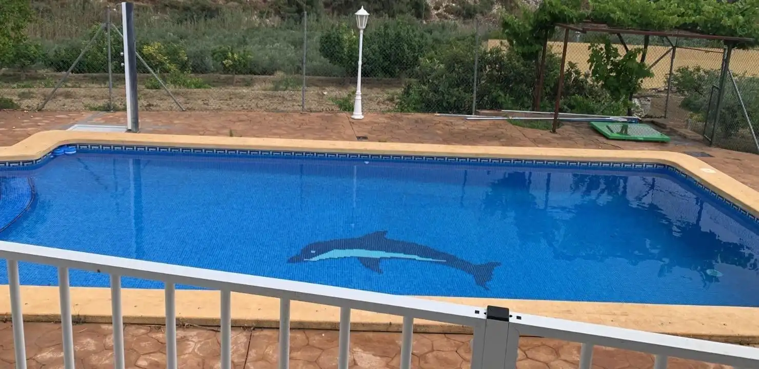 Piscina de Finca rústica en venta en Fines