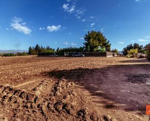 Finca rústica en venda en Santa Bàrbara