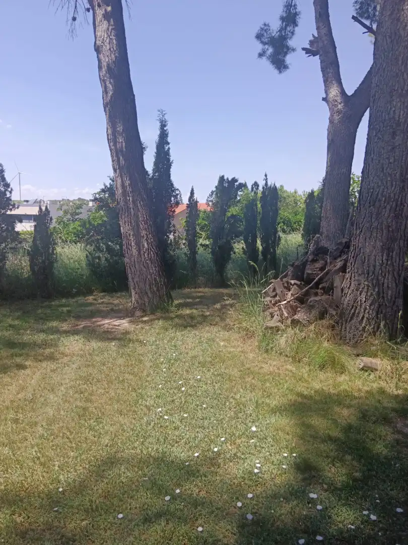 Casa o xalet en venda en Cascante amb Calefacció, Jardí privat i Parquet