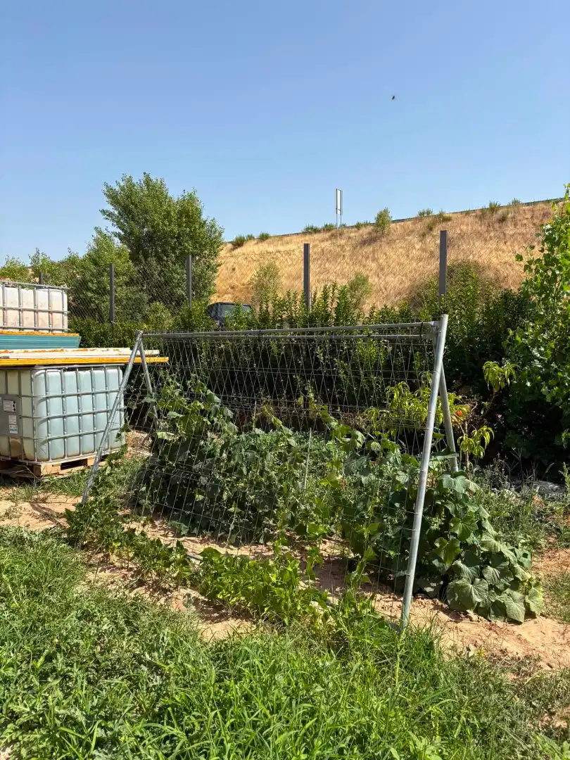 Terreno rústico en venta en La Portalada - Varea, imagen 18