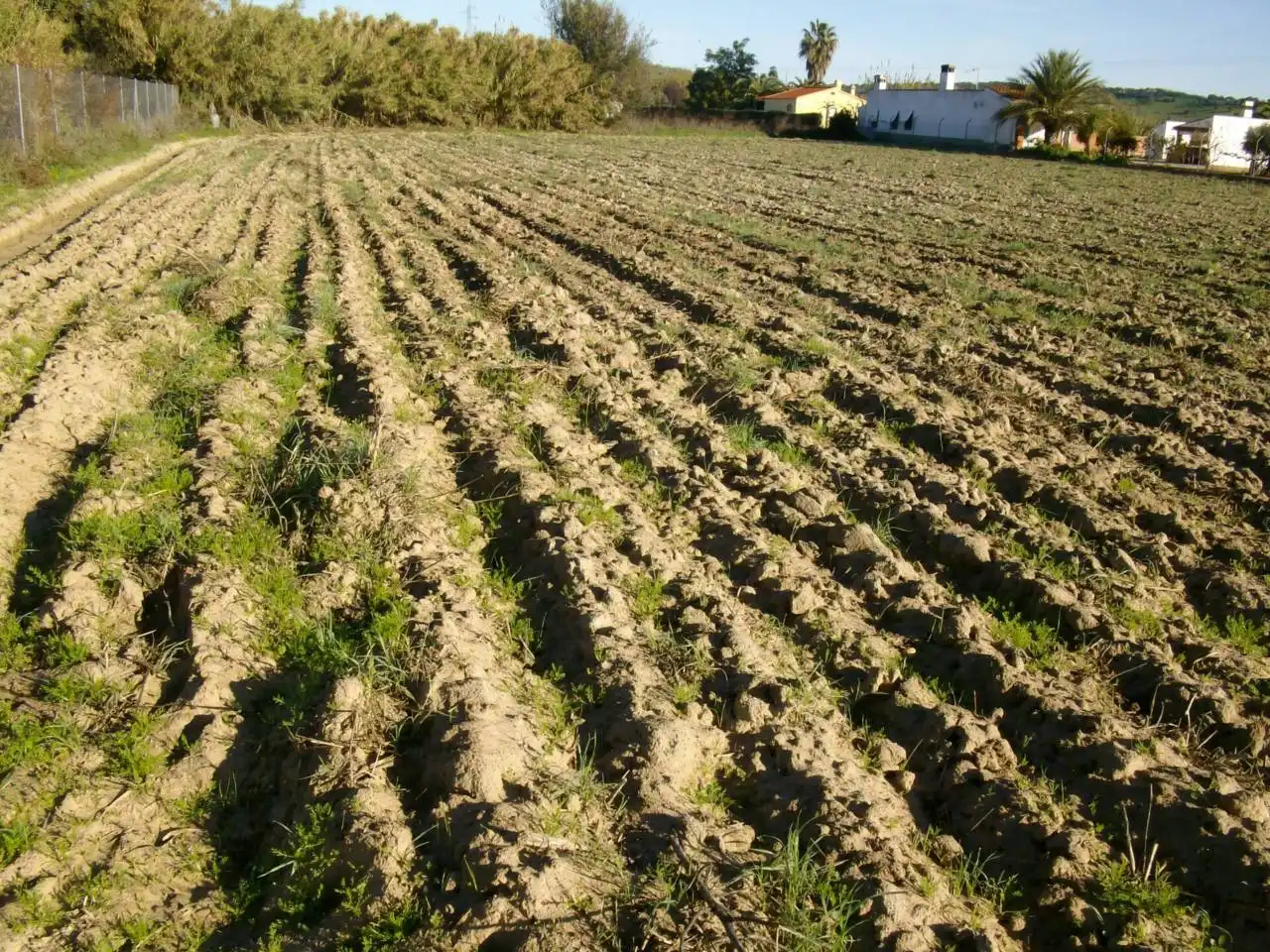 Terreni e lotti in vendita a Villanueva de la Serena