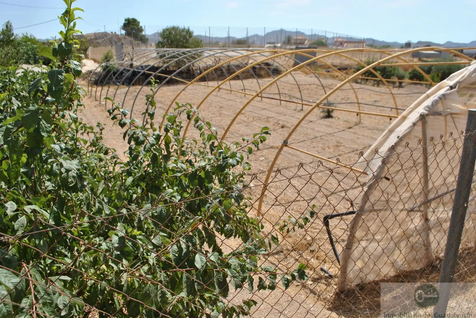 Casa o xalet en venda en Lorca