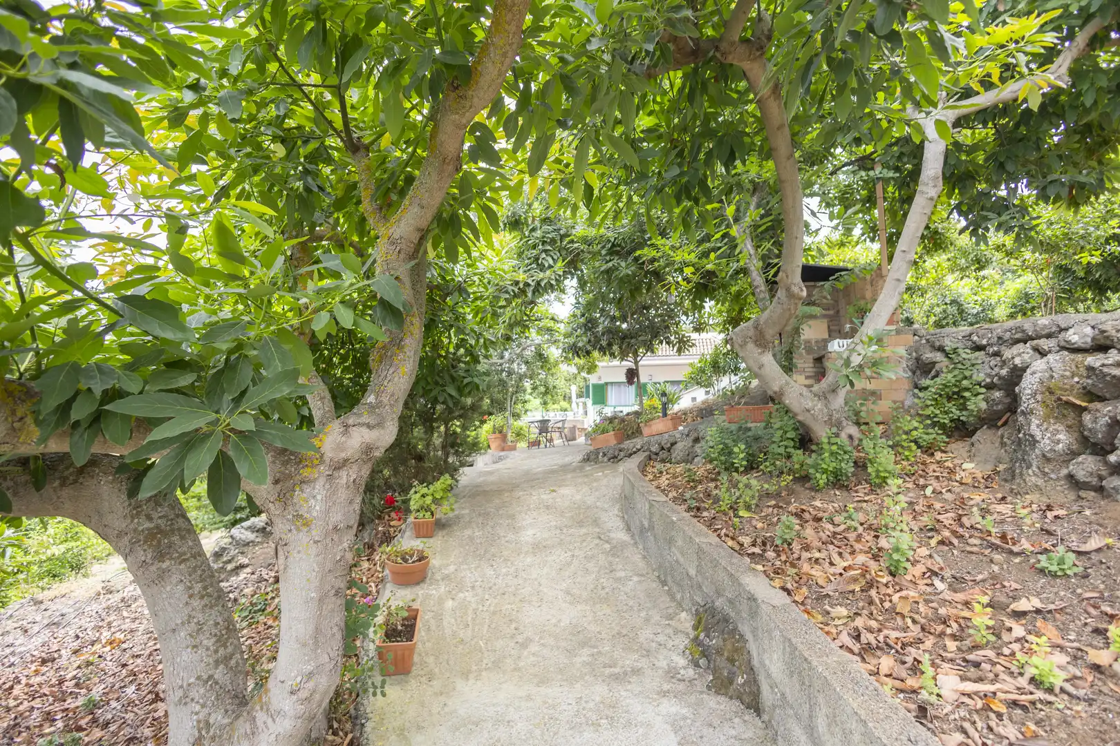 Garden of Houses for sale in La Orotava  with Private garden, Terrace and Storage room