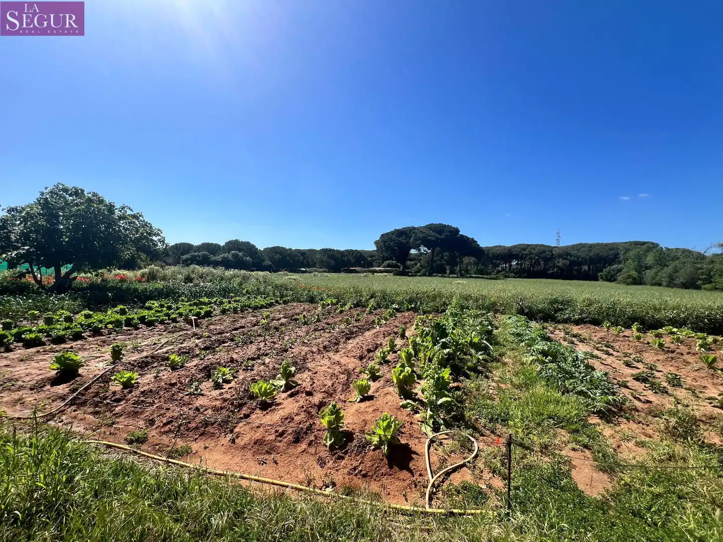 Terreni e lotti in vendita a Vejer, imagen 19