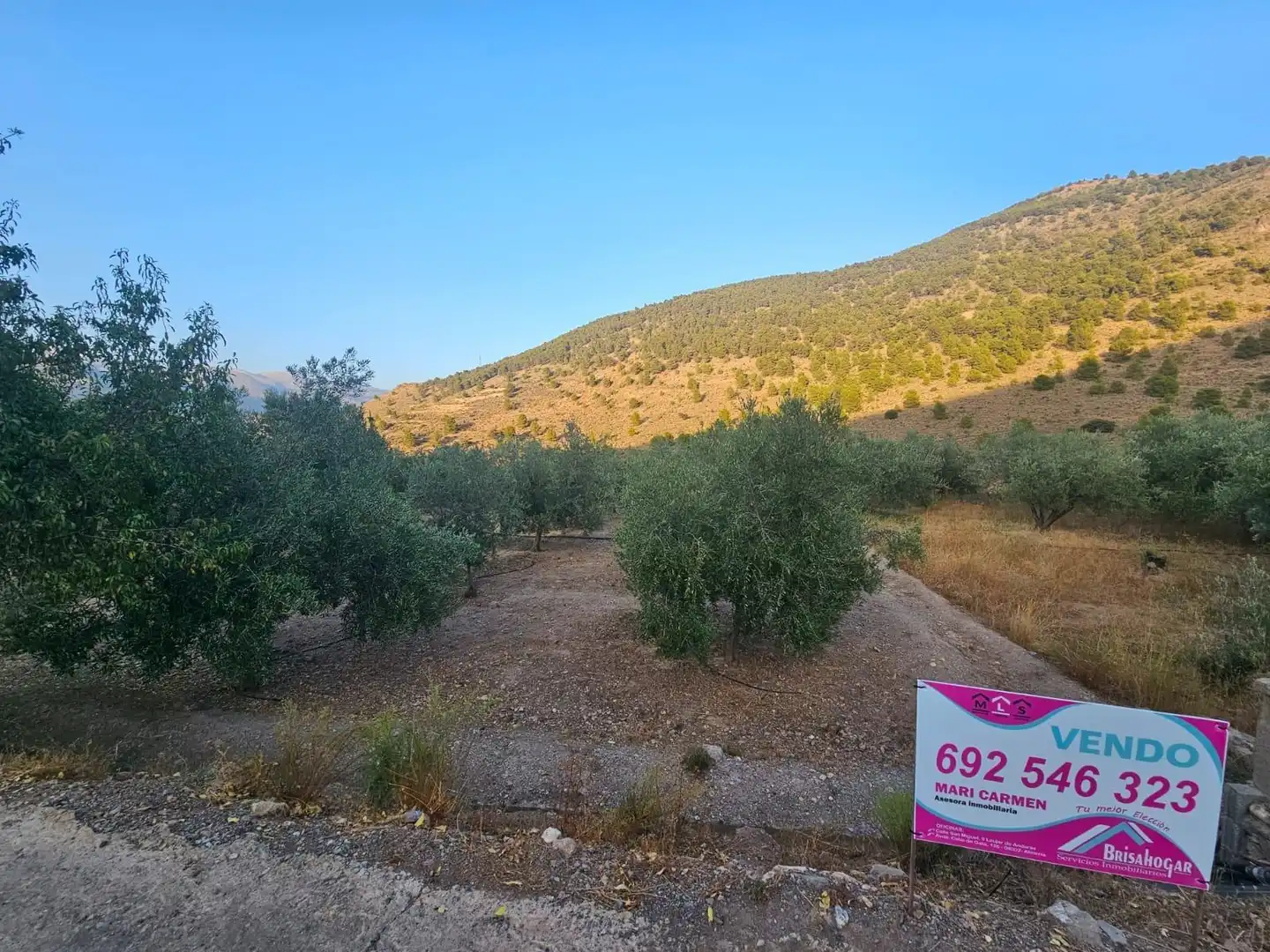 Finca rústica en venda en Fondón
