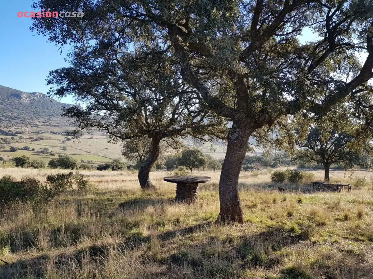 Vista exterior de Casa o chalet en venta en Santa Eufemia