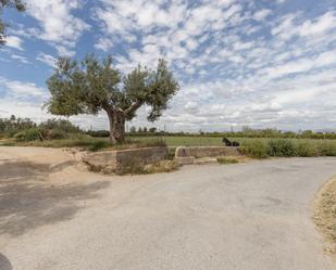 Land for sale in La Zubia