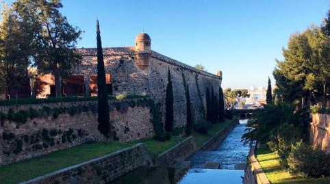 Photo 2 of Apartment to rent in Es Puig de Sant Pere,  Palma de Mallorca