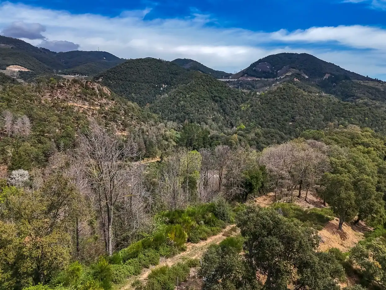 Finca rústica en venda a Arbúcies