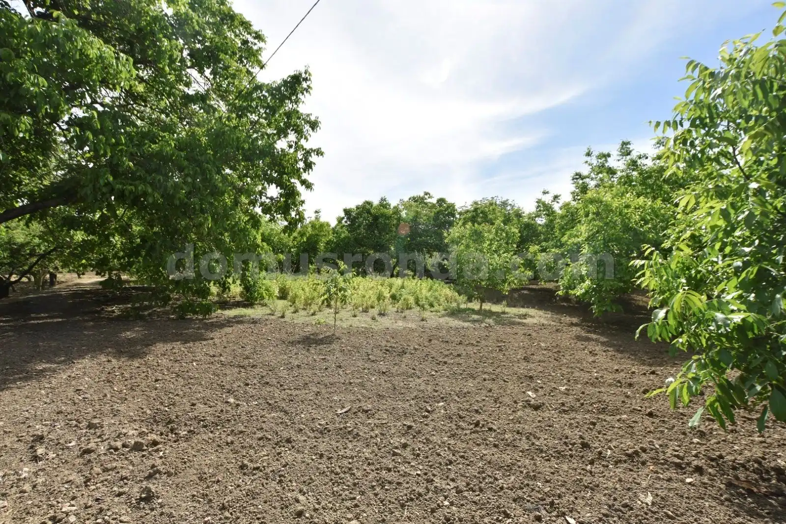 Country homes for sale in Ronda  with Terrace, Storage room and Swimming Pool