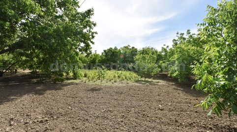 Photo 3 of Country homes for sale in Partidas Norte, Ronda