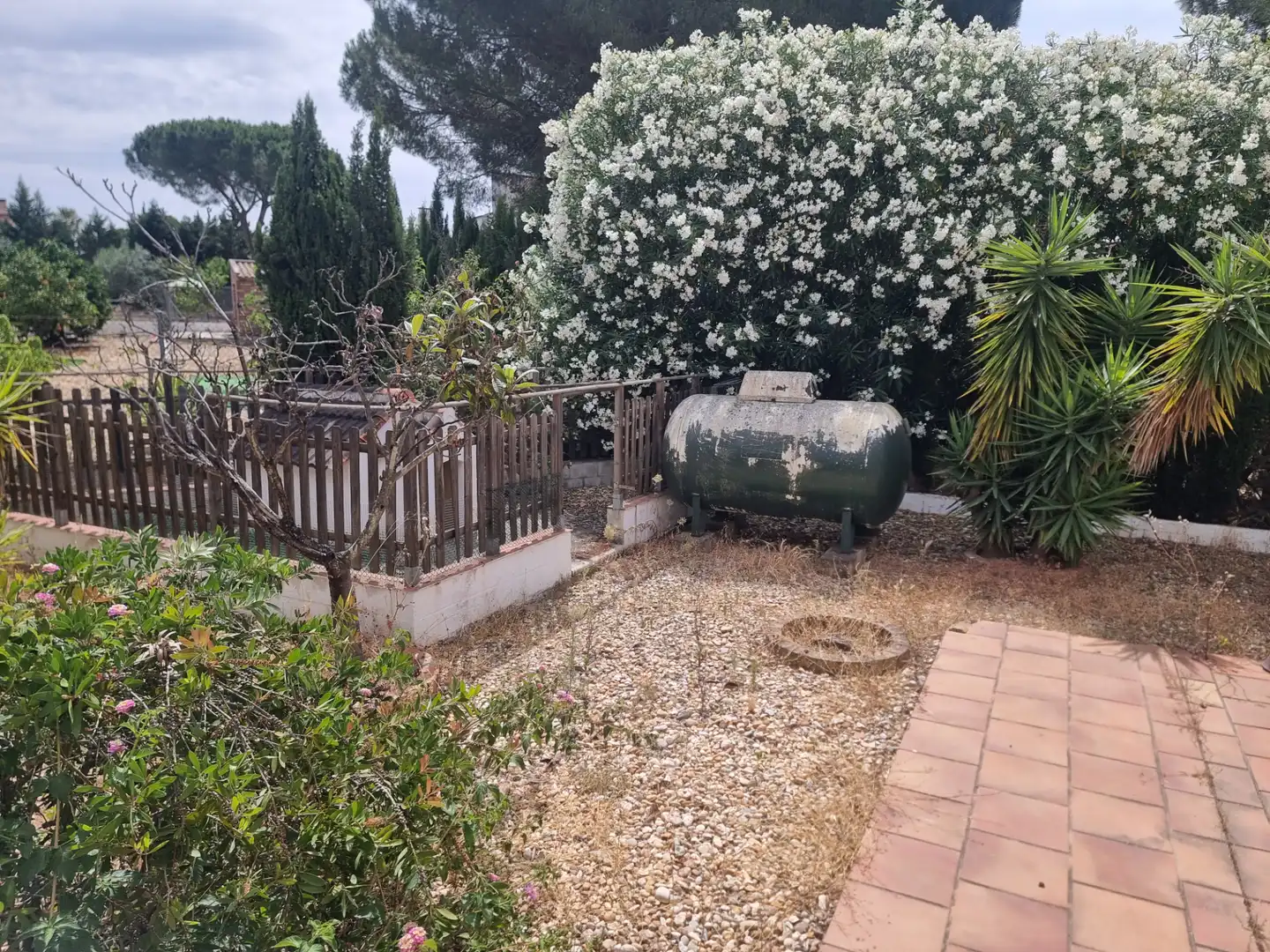 Jardín de Casa o chalet en venta en Aljaraque con Jardín privado, Terraza y Trastero