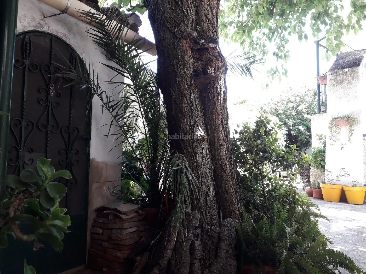House with garden for sale in Plaza Ovando 14, imagen 27