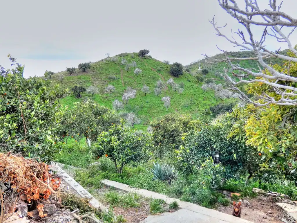 Finca rústica en venta en Vélez-Málaga con Jardín privado