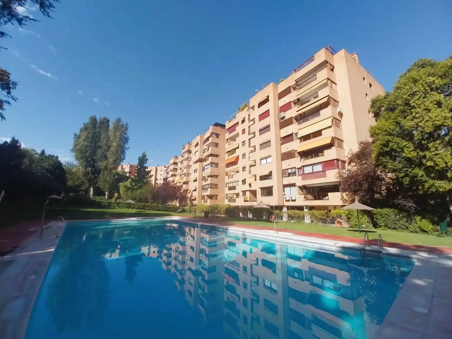 Piso con piscina en venta en Avenida de los Madroños
