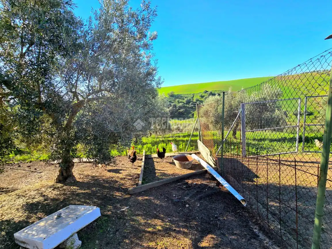 Terreno rustico in vendita a El Coronil, imagen 11