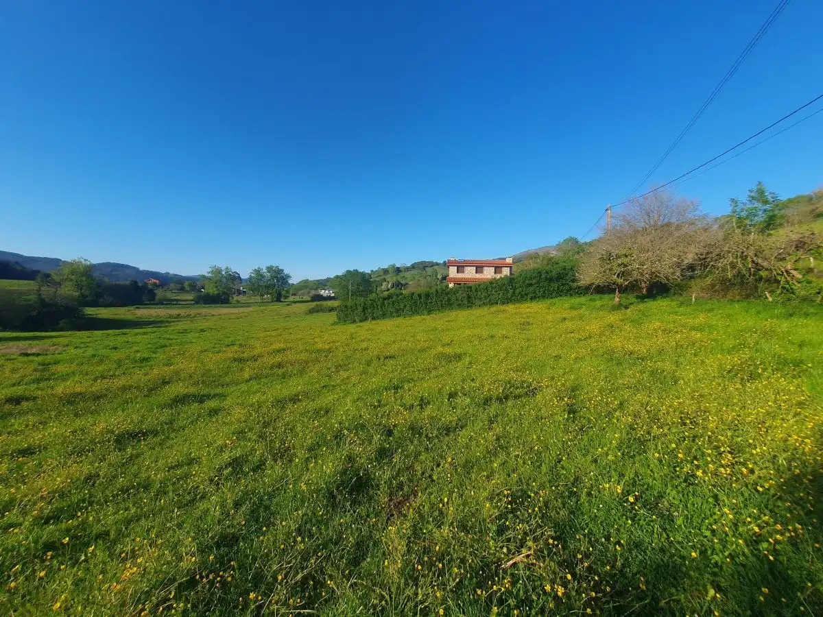 Terrenos y solares en venta en Salas, imagen 10