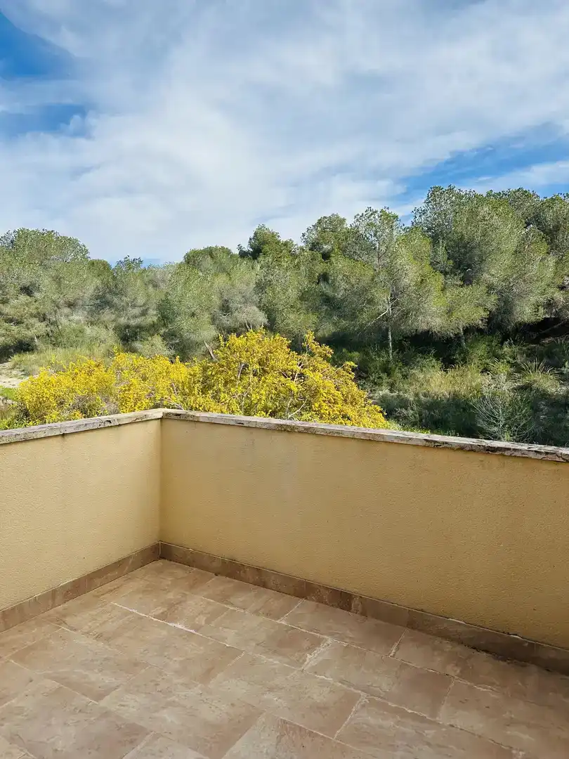 Jardí de Casa o xalet en venda en Pilar de la Horadada amb Aire condicionat, Piscina i Balcó