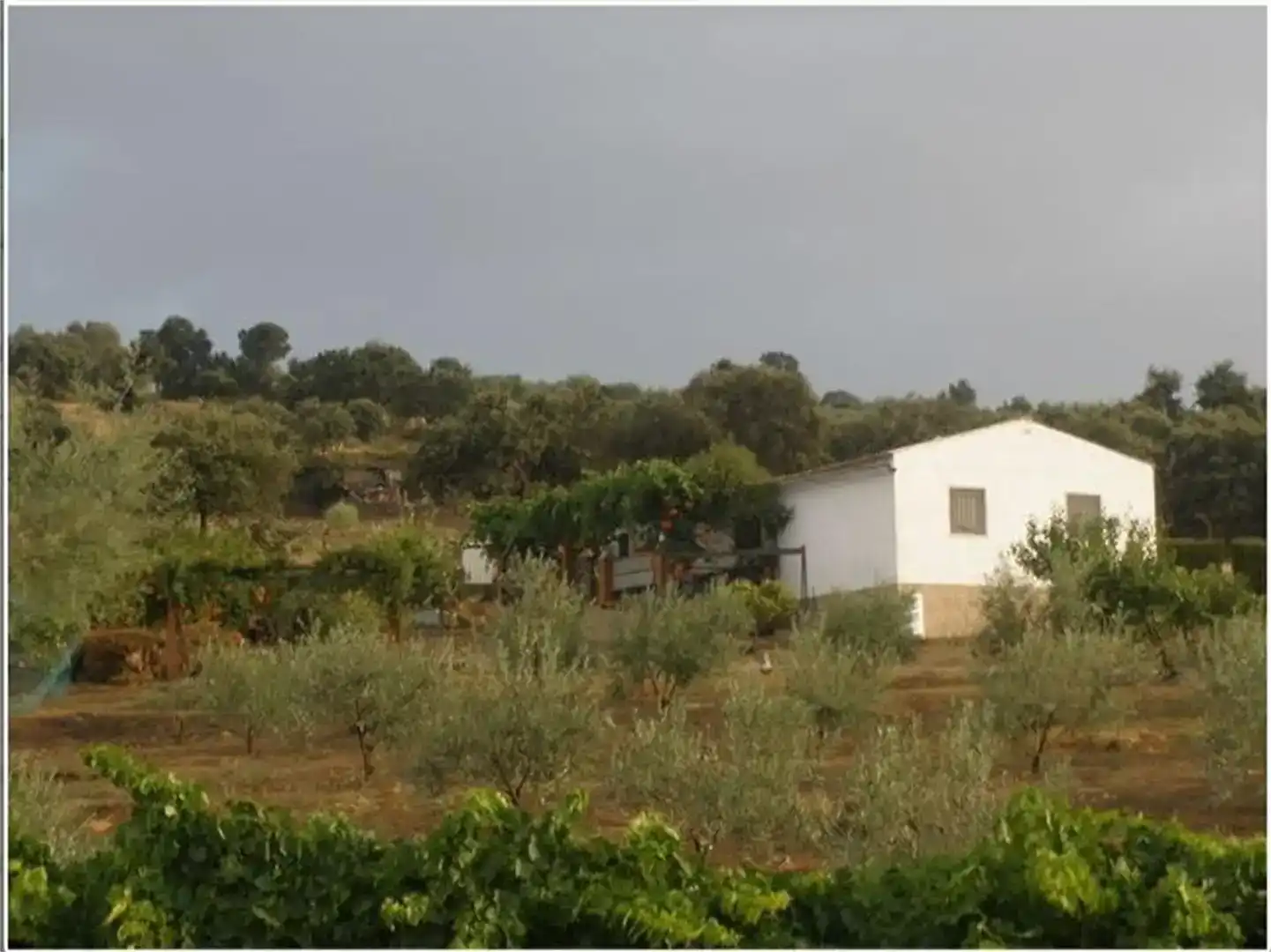 Terreno en venta en Talaván