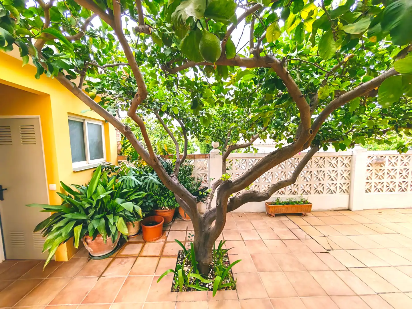 Terraza de Casa o chalet en venta en Alhaurín de la Torre con Aire acondicionado, Calefacción y Jardín privado