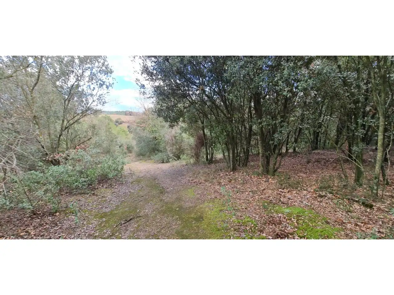 Rural land for sale in Lliçà d'Amunt, imagen 14