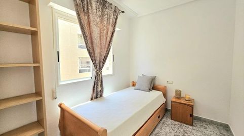GRAN APARTAMENTO EN TORREVIEJA 3 HAB 2 BAÑOS, imatge 5