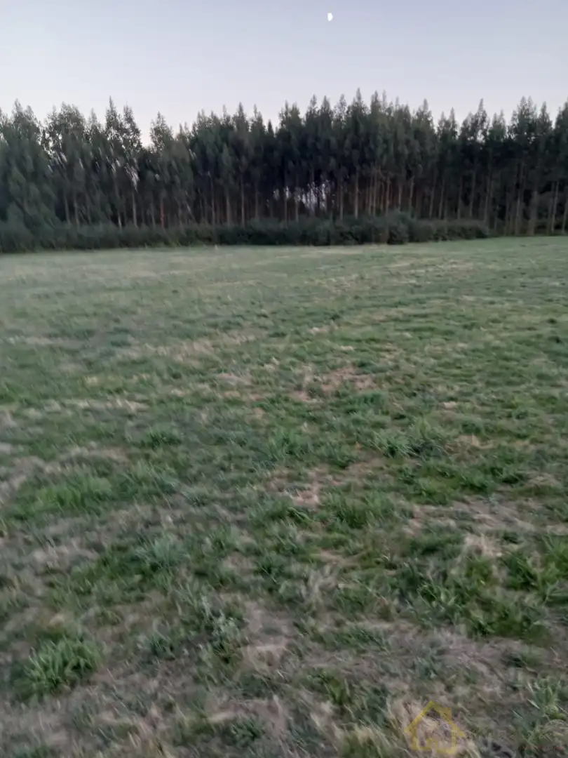 Terreni e lotti in vendita a Parroquias del Este, imagen 6