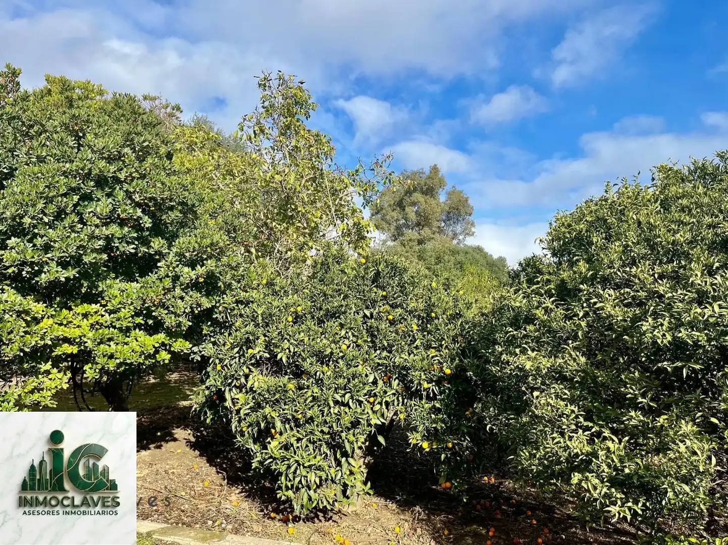 Rural land for sale in N/A, imagen 4