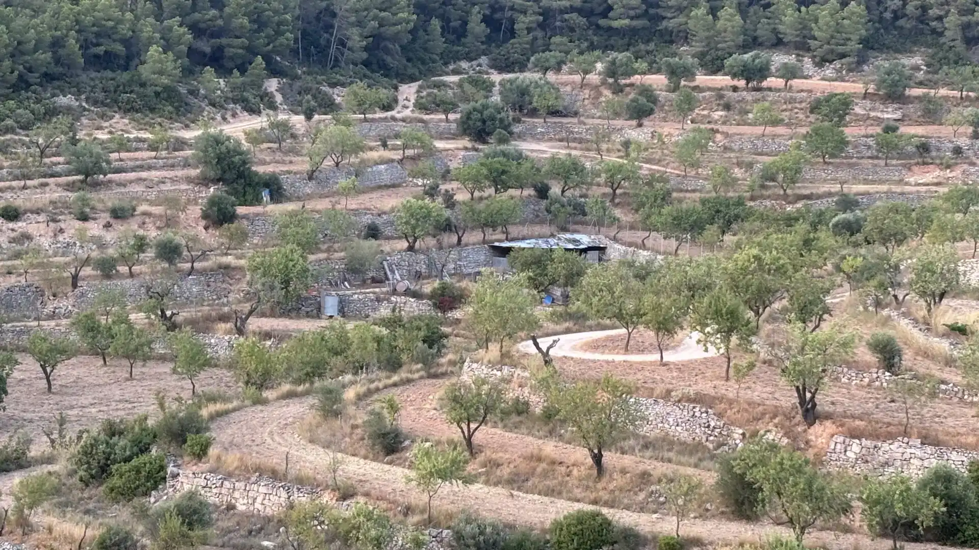 Finca rústica en venda en La Fatarella amb Jardí privat