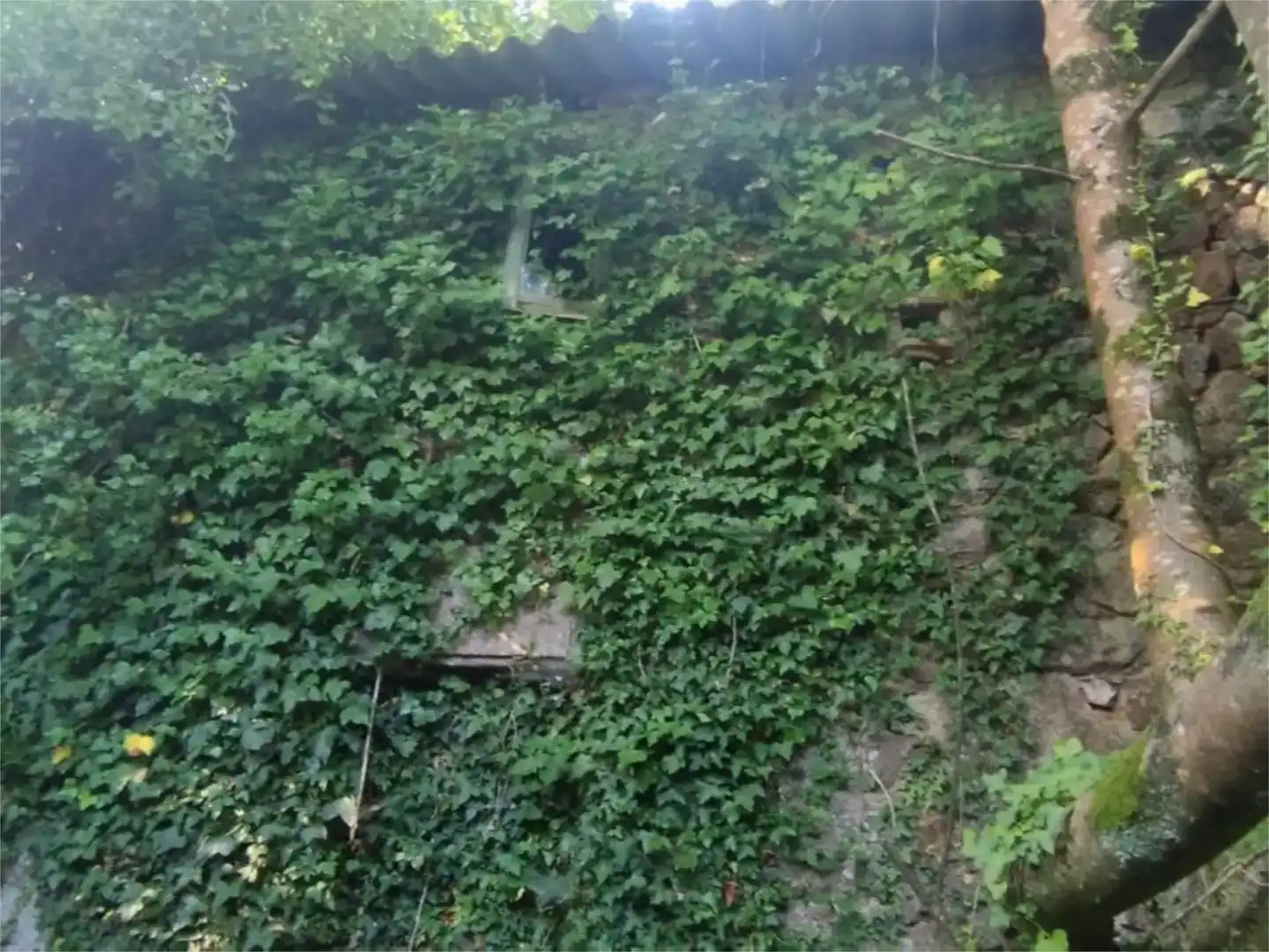 Casa o chalet en venta en Vilarmaior