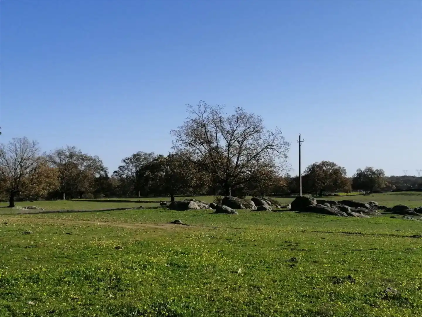 Terreno en venta en Gargüera, Cáceres