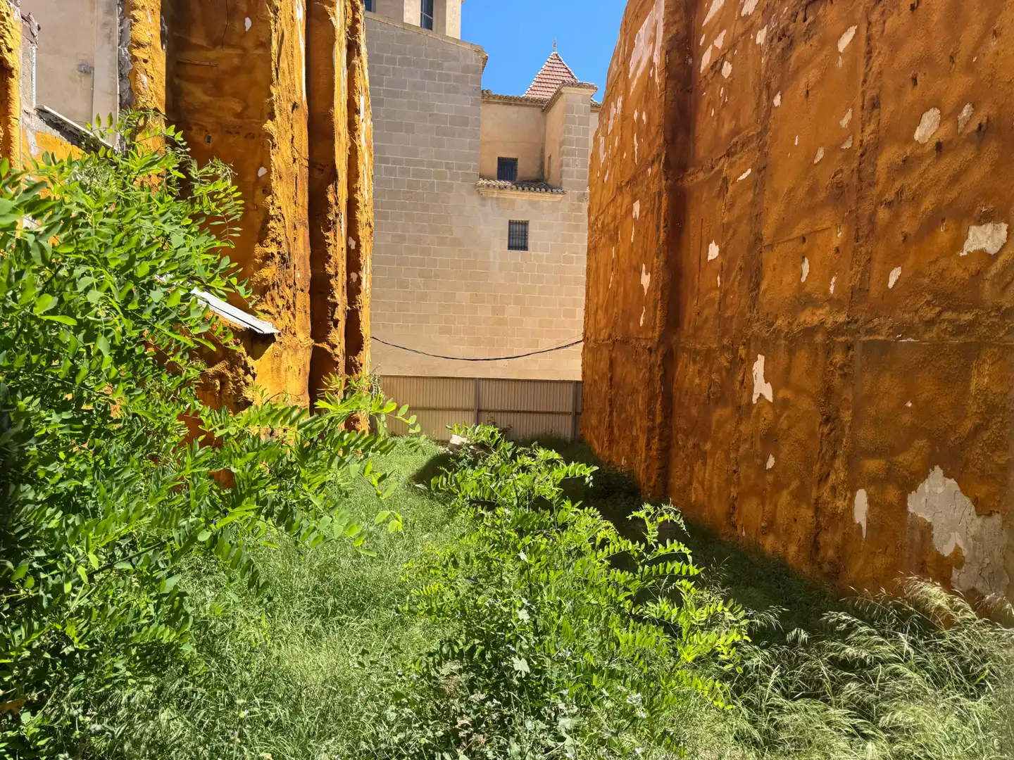 Garden of Residential for sale in Alicante / Alacant