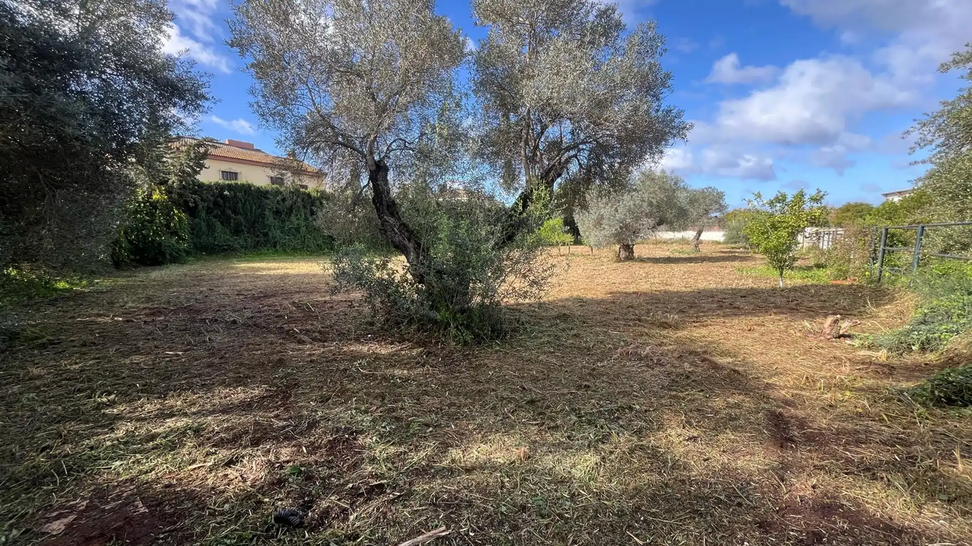 Residencial en venta en Palomares del Río