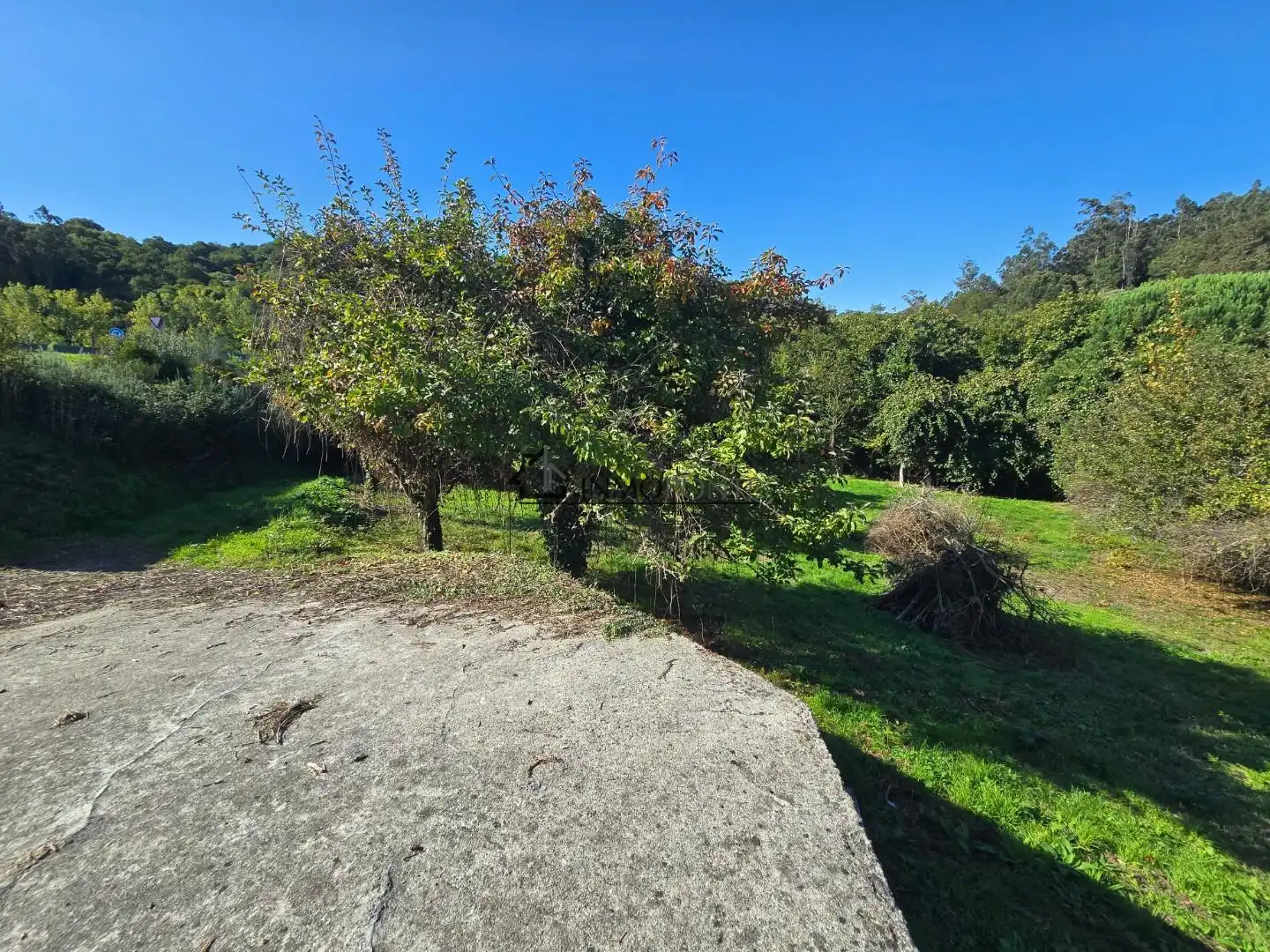 Casa o xalet en venda en Cerdedo amb Jardí privat