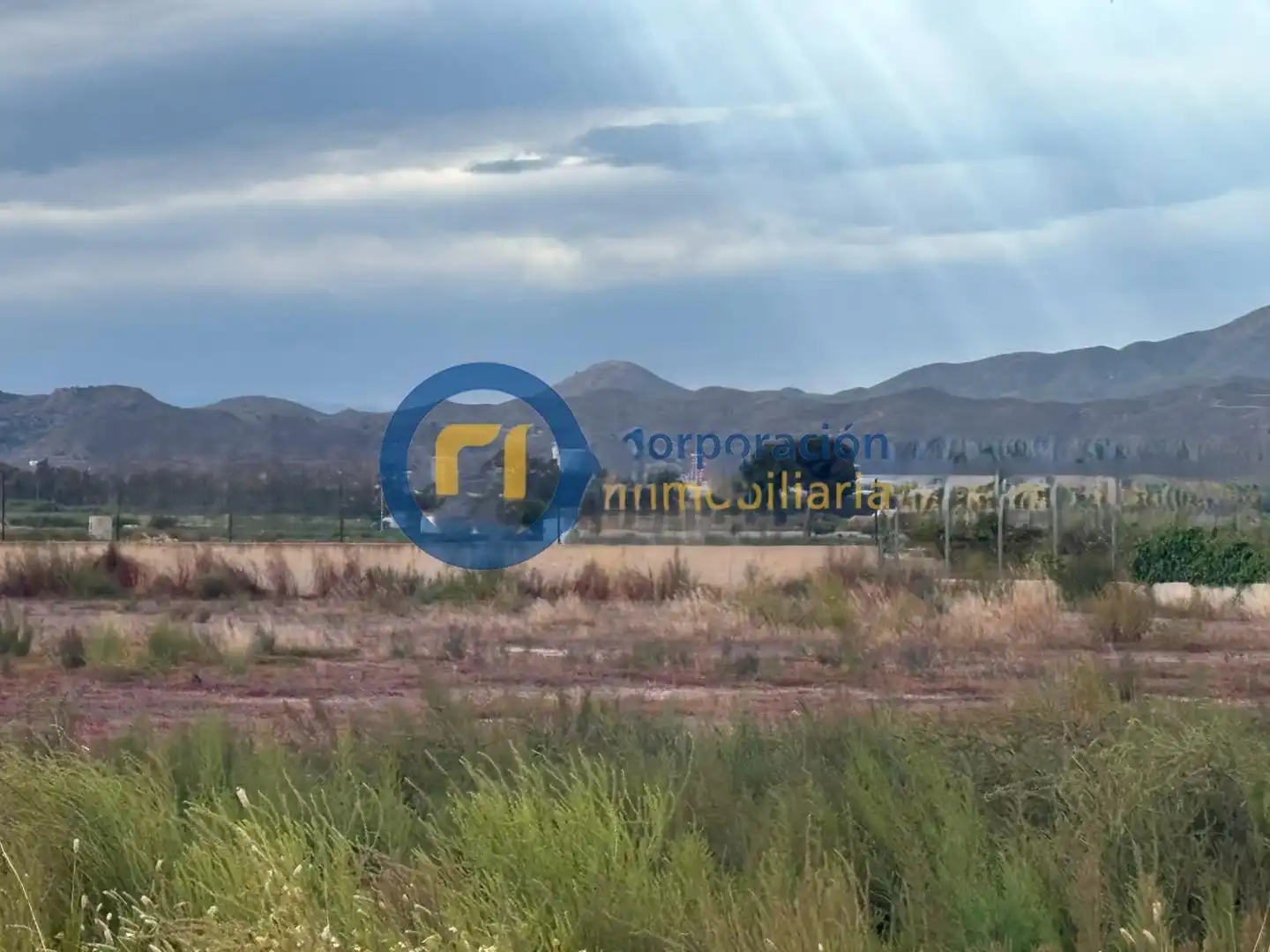 Residential land for sale in Pedanías Centro, imagen 4