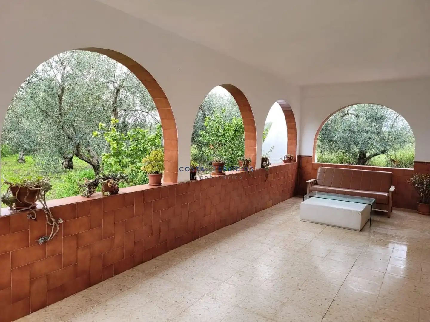 Terrace of Country homes for sale in Gibraleón  with Storage room and Community pool