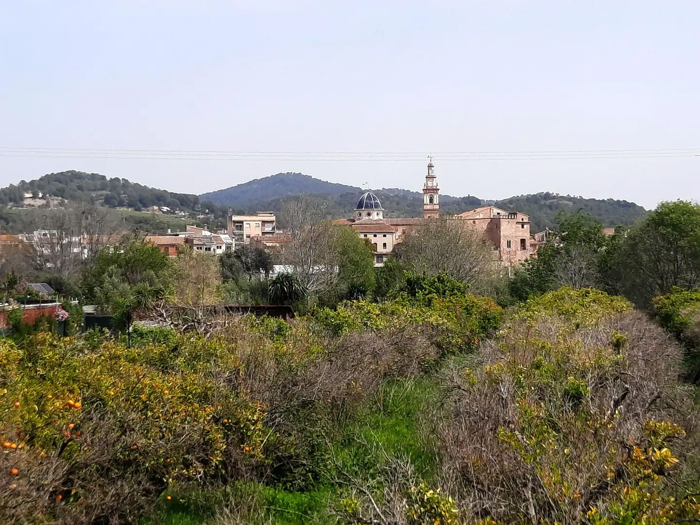Vista exterior de Finca rústica en venta en Albalat dels Tarongers con Calefacción, Terraza y Piscina