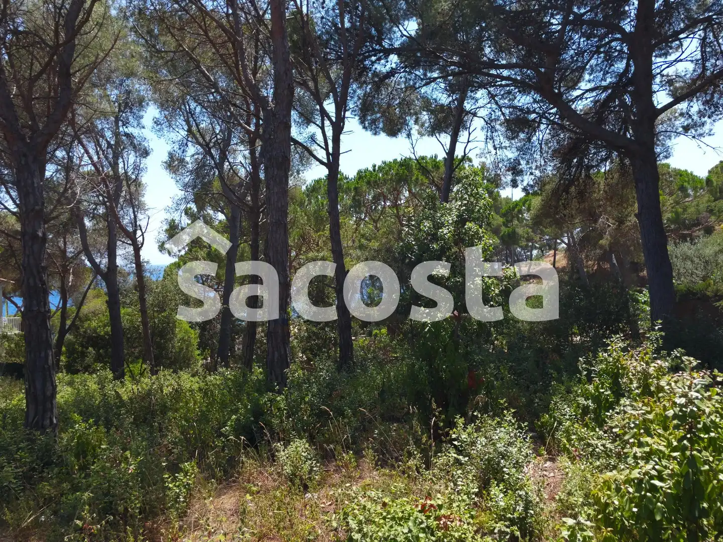 Residencial en venta en Montgoda