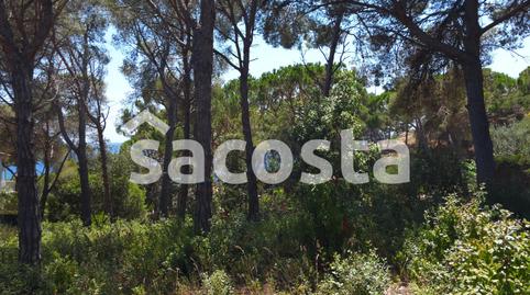 Foto 5 de Residencial en venta en Montgoda, Lloret de Mar