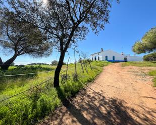 Vista exterior de Casa o xalet en venda en Trigueros amb Calefacció i Terrassa