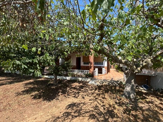 Exterior view of House or chalet for sale in Bétera  with Terrace and Swimming Pool