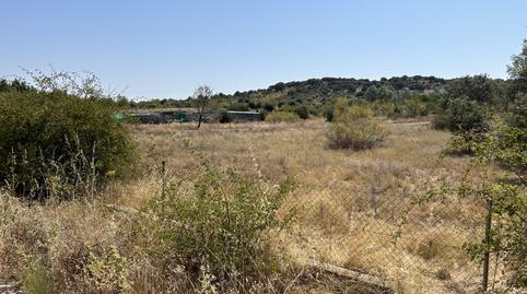 Foto 5 de Terreno en venta en Navas del Rey, Madrid